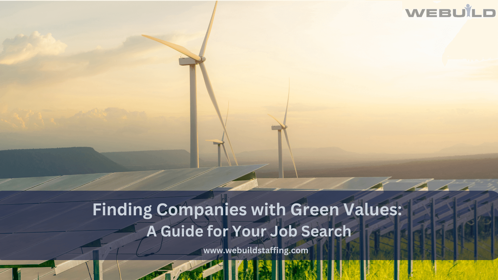 finding-companies-with-green-values:-a-guide-for-your-job-search