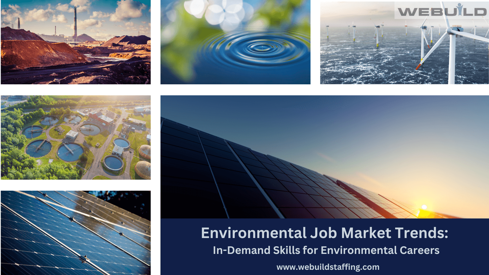 environmental-job-market-trends:-in-demand-skills-for-environmental-careers
