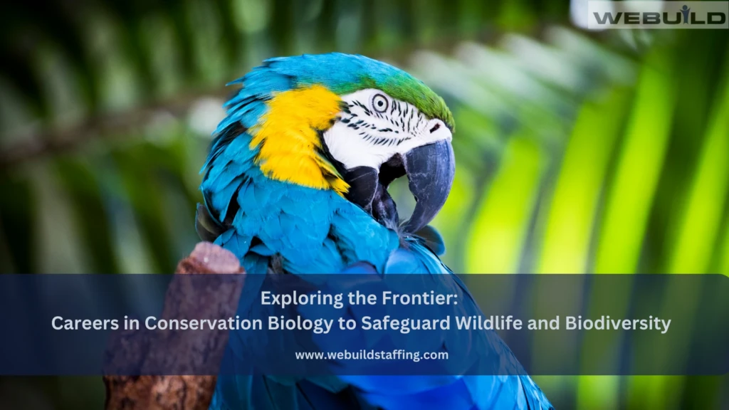 exploring-the-frontier:-careers-in-conservation-biology-to-safeguard-wildlife-and-biodiversity