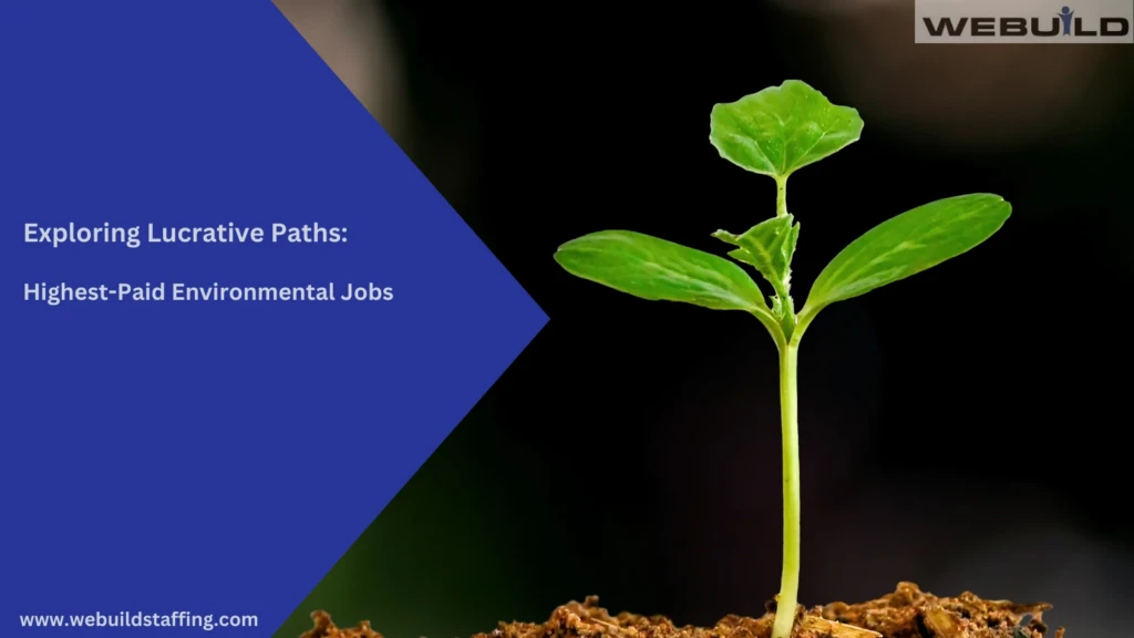 exploring-lucrative-paths:-highest-paid-environmental-jobs