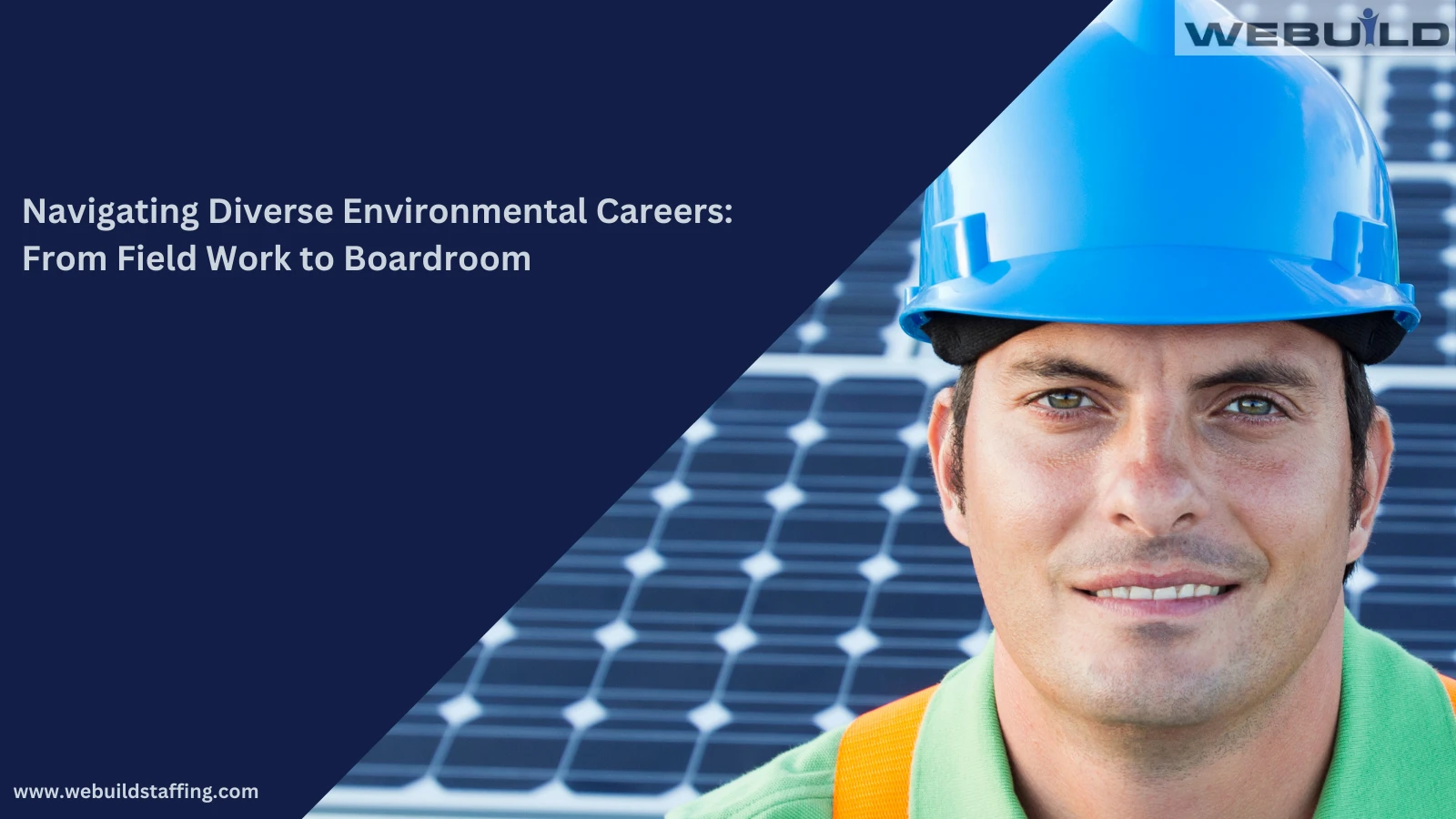 environmental-careers:-from-field-work-to-boardroom
